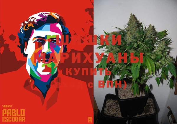 спайс Алексин