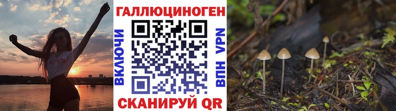 Псилоцибиновые грибы прущие грибы  Ржев 